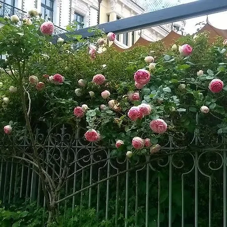 La Casona Del Peregrino * Llanes