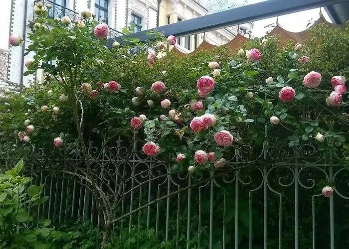 La Casona Del Peregrino * Llanes